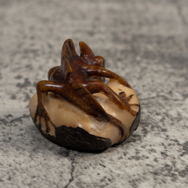 Vintage Brown Jesus Lizard Tagua Carving
