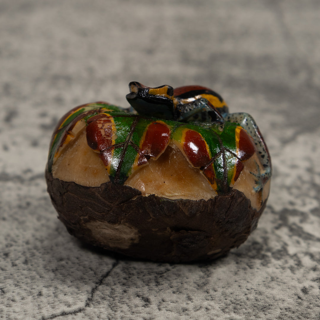 Poison Dart Frog Tagua Carving
