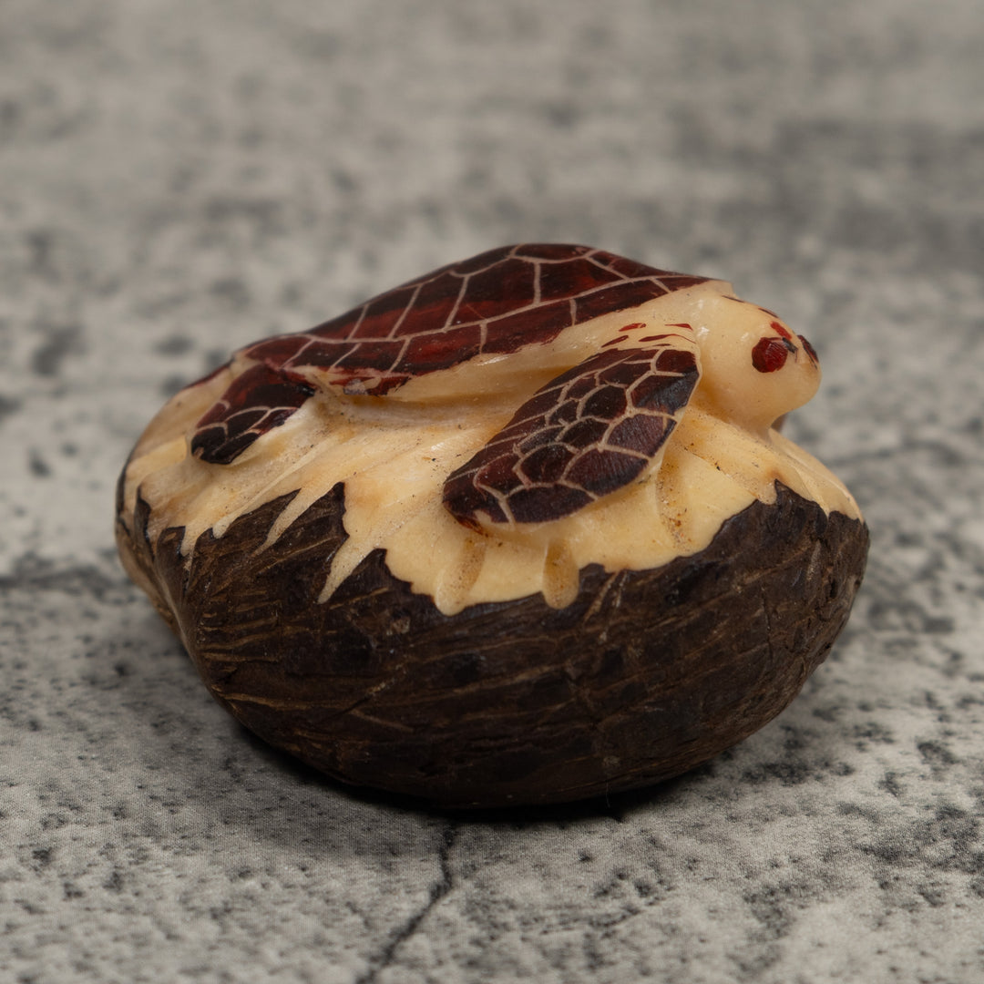 Sea Turtle Tagua Carving