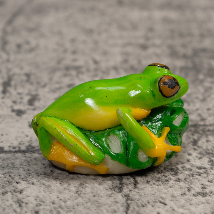 Red-Eye Tree Frog Tagua Carving