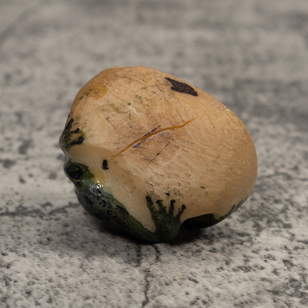 Vintage Dark Blue Frog Tagua Carving