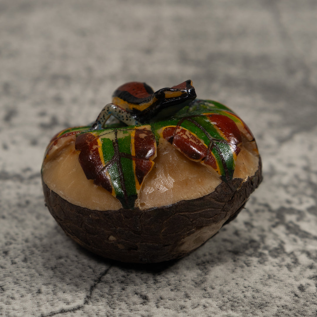 Poison Dart Frog Tagua Carving