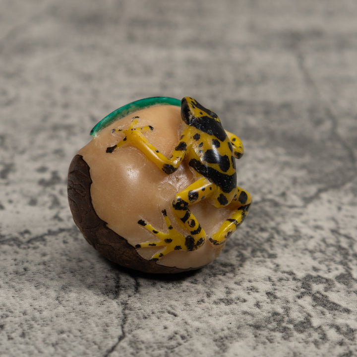Poison Dart Frog Tagua Carving
