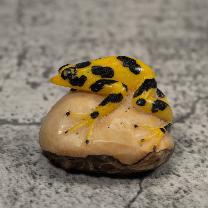 Vintage Poison Dart Frog Tagua Carving