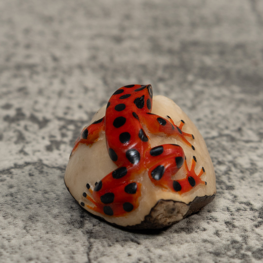 Vintage Red And Black Poison Dart Frog Tagua Carving