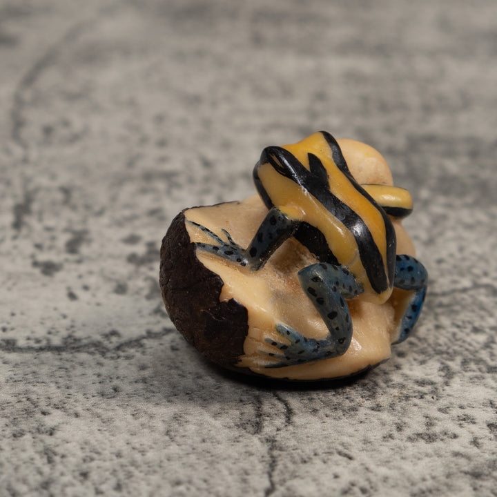 Vintage Yellow And Black Poison Dart Frog Tagua Carving