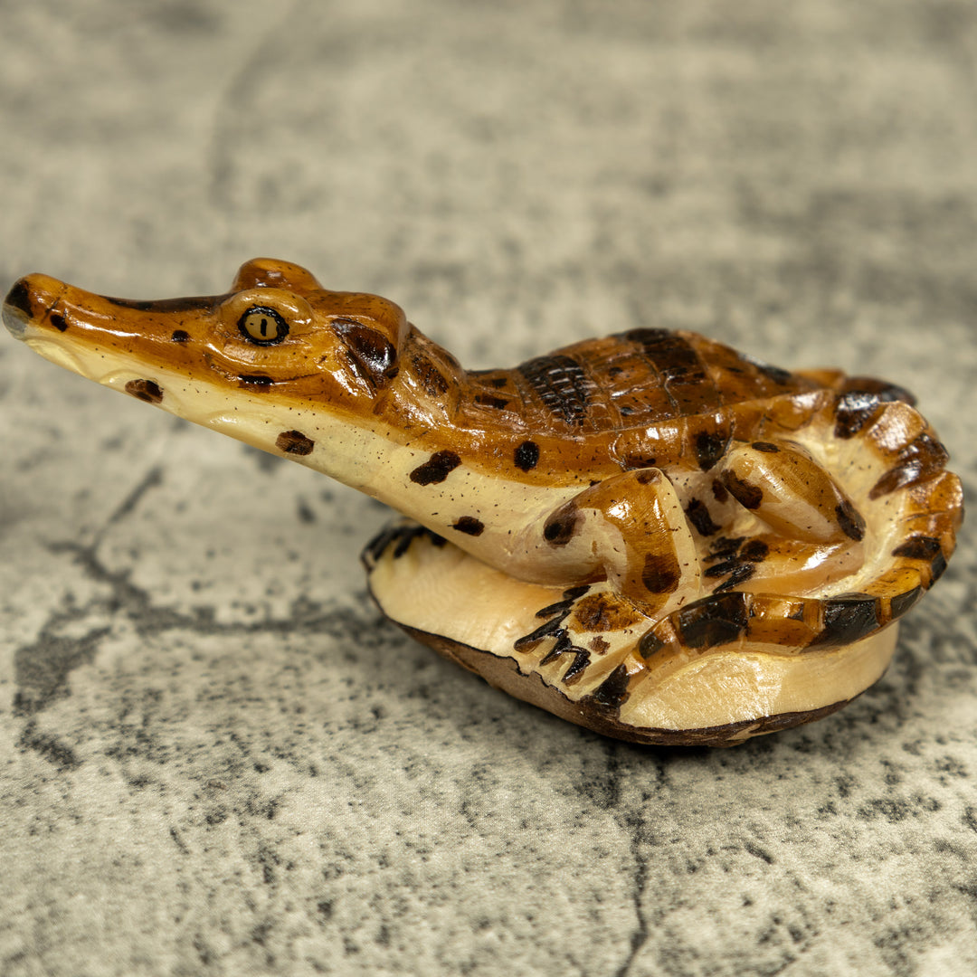 Alligator Crocodile Caiman Tagua Carving