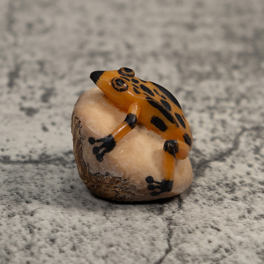 Vintage Gold And Black Poison Dart Frog Tagua Carving