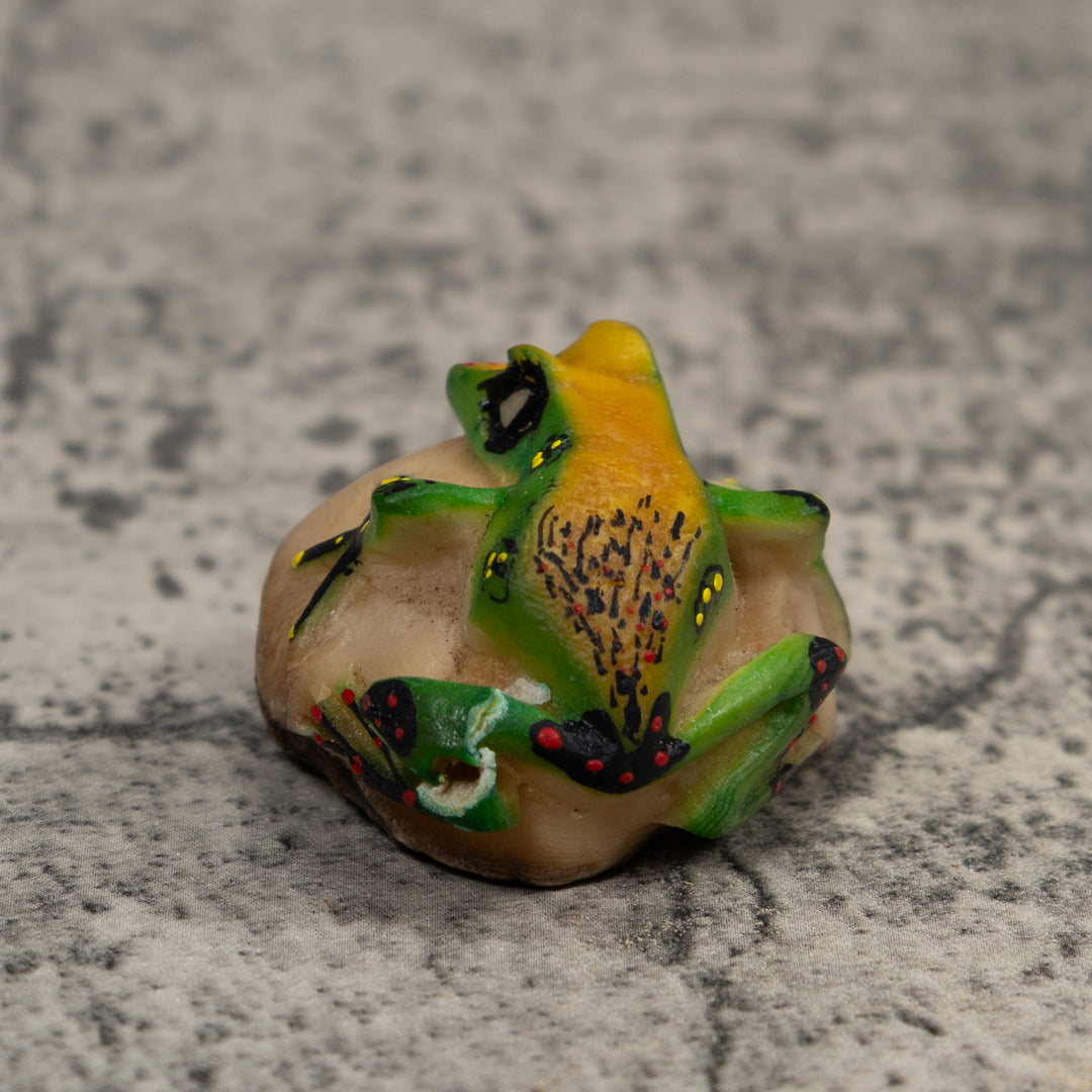Vintage Green Yellow And Black Frog Tagua Carving