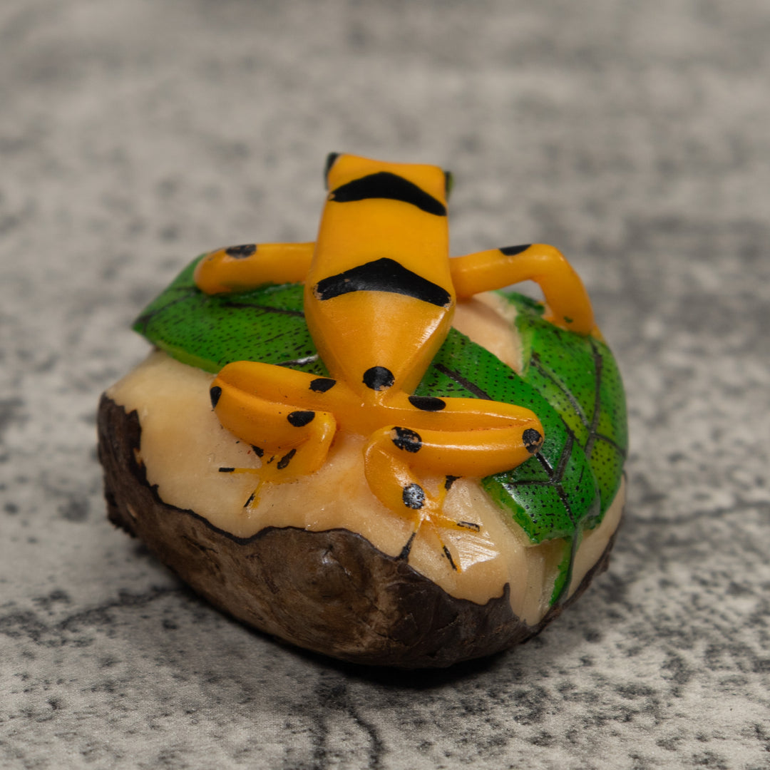 Golden Frog Tagua Carving