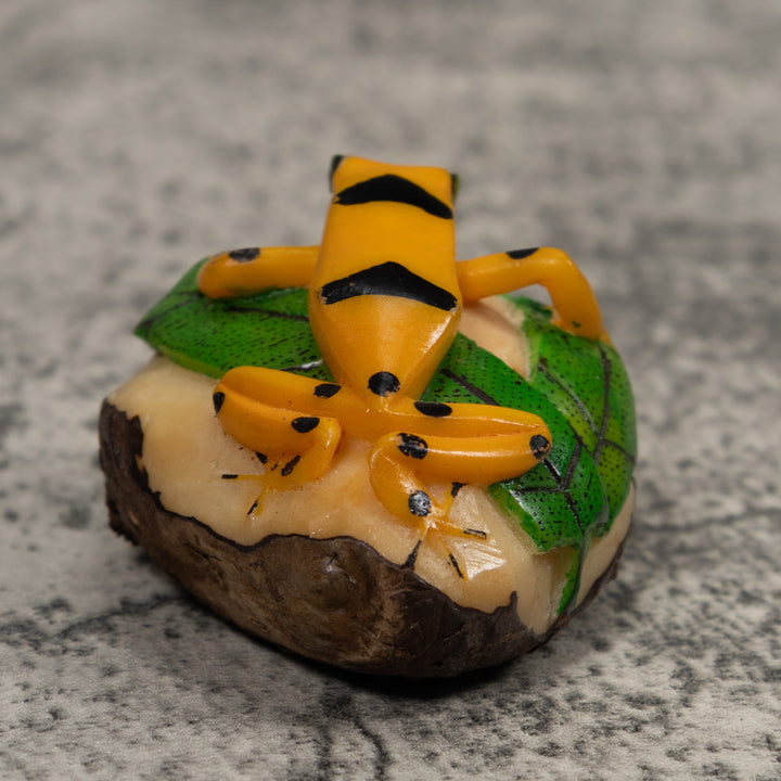 Golden Frog Tagua Carving