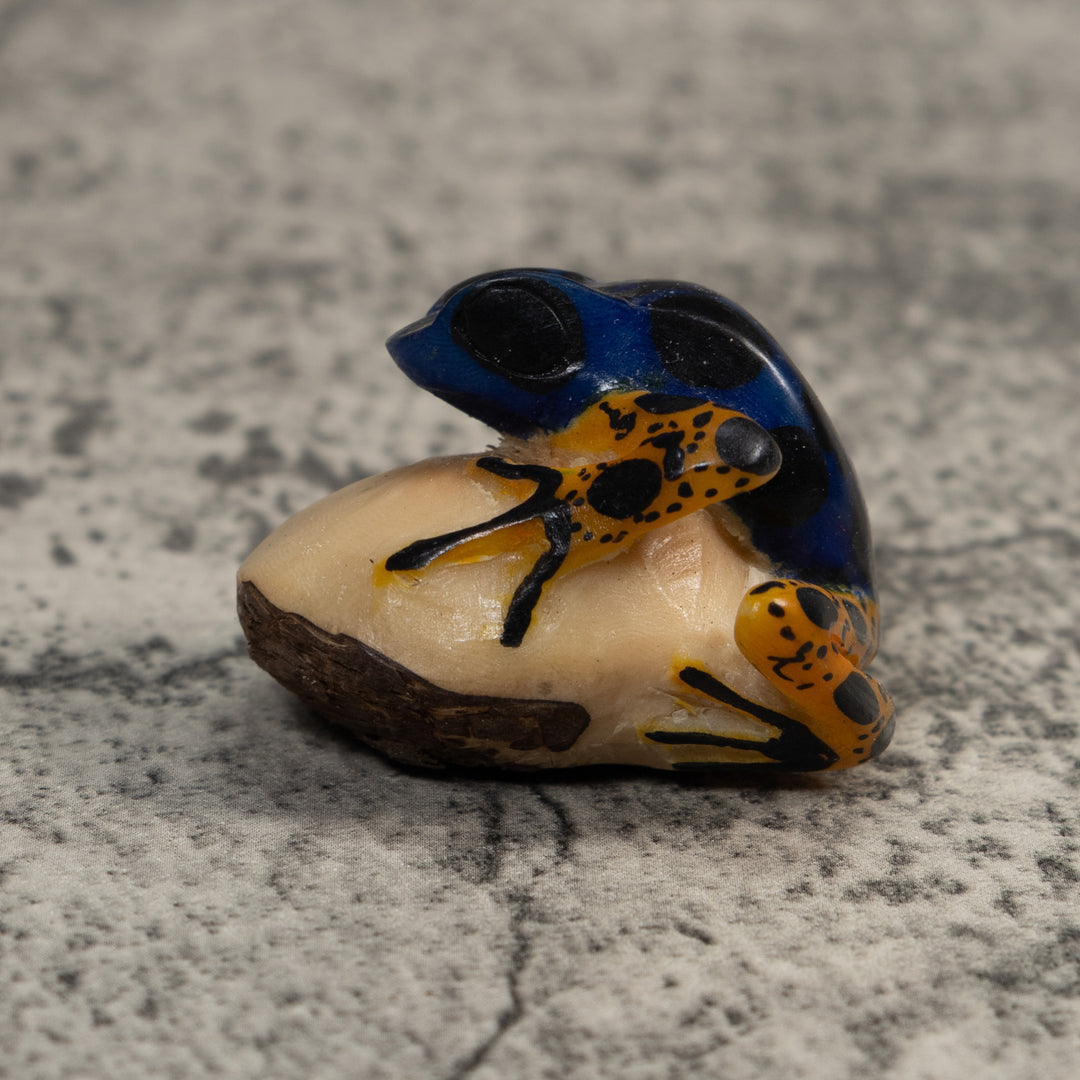 Vintage Blue And Orange Poison Dart Frog Tagua Carving