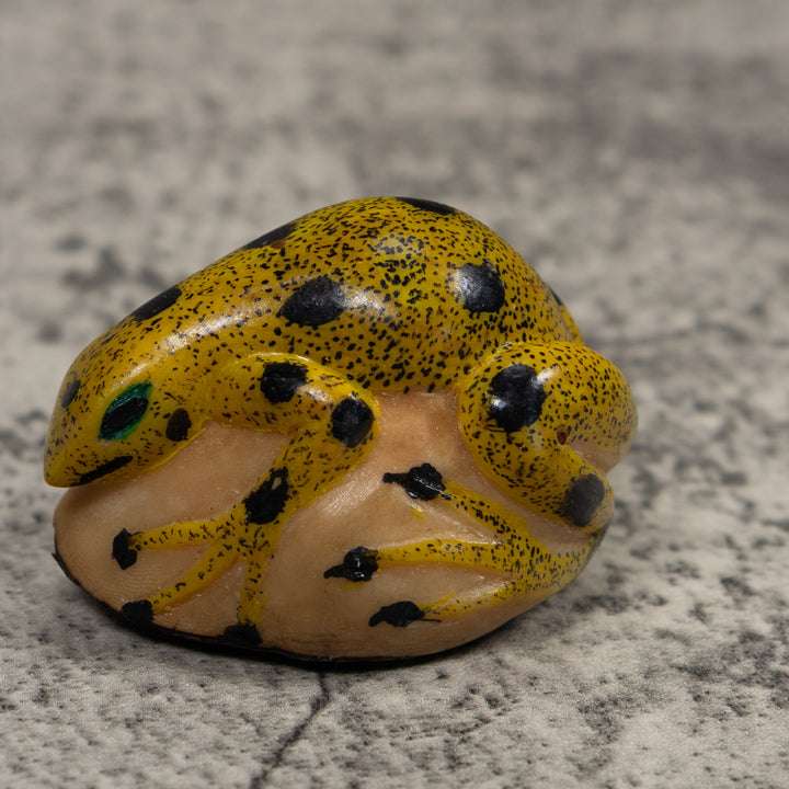 Vintage Black And Gold Frog Tagua Carving