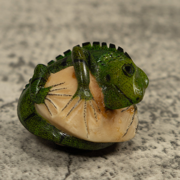Iguana Lizard Reptile Tagua Carving