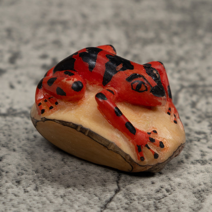 Vintage Black And Red Frog Tagua Carving