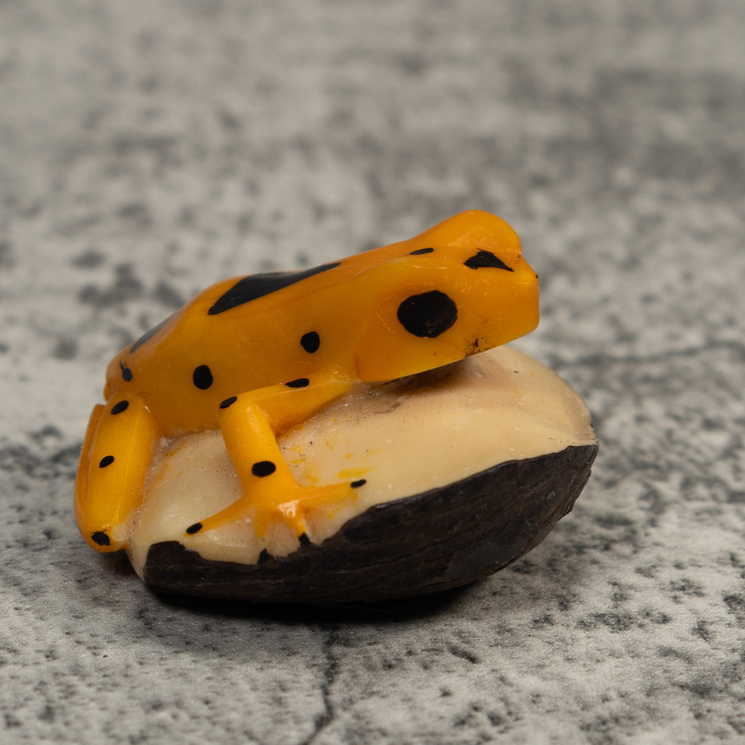 Golden Frog Tagua Carving