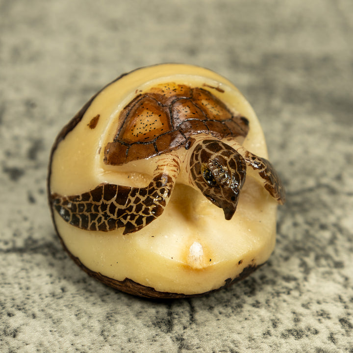 Sea Turtle Emerging From Egg Tagua Carving