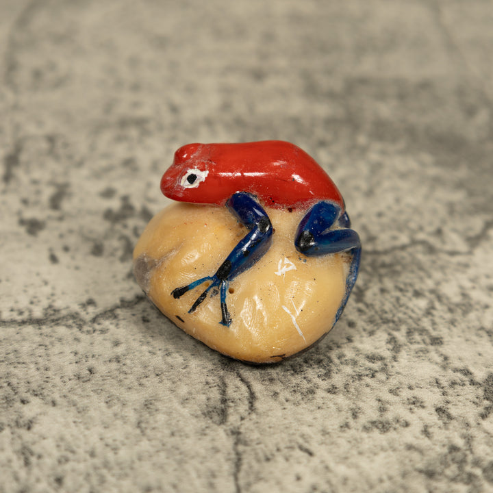 Vintage Red And Blue Poison Dart Frog Tagua Carving