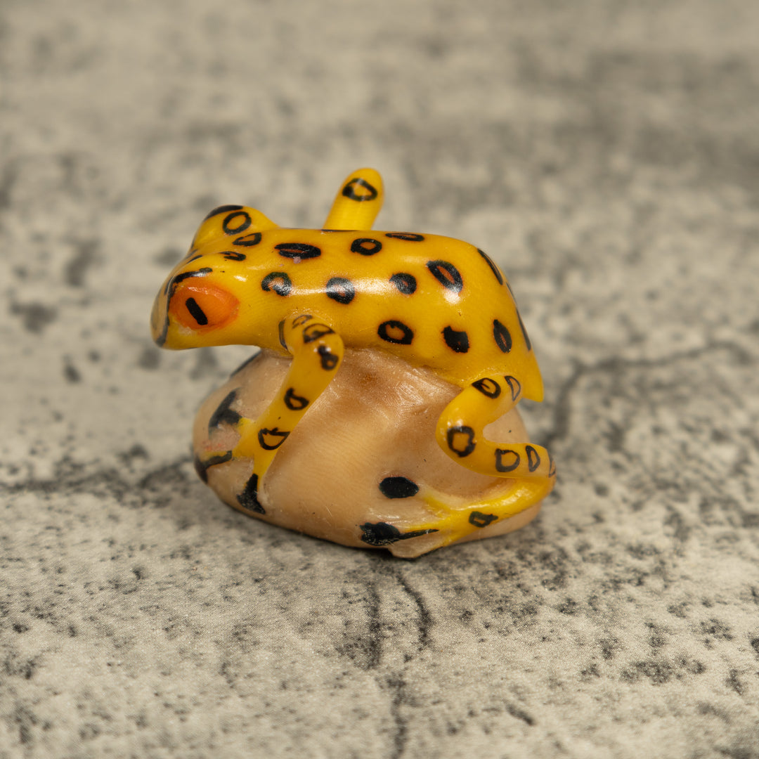 Vintage Golden Frog Tagua Carving