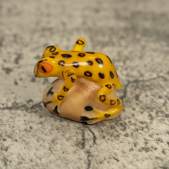 Vintage Golden Frog Tagua Carving
