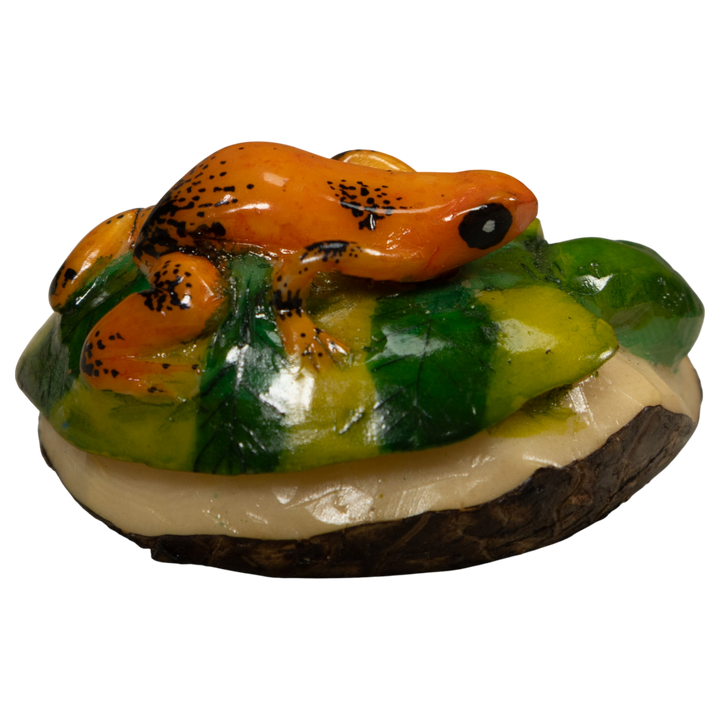 Gold And Black Tropical Frog Tagua Carving