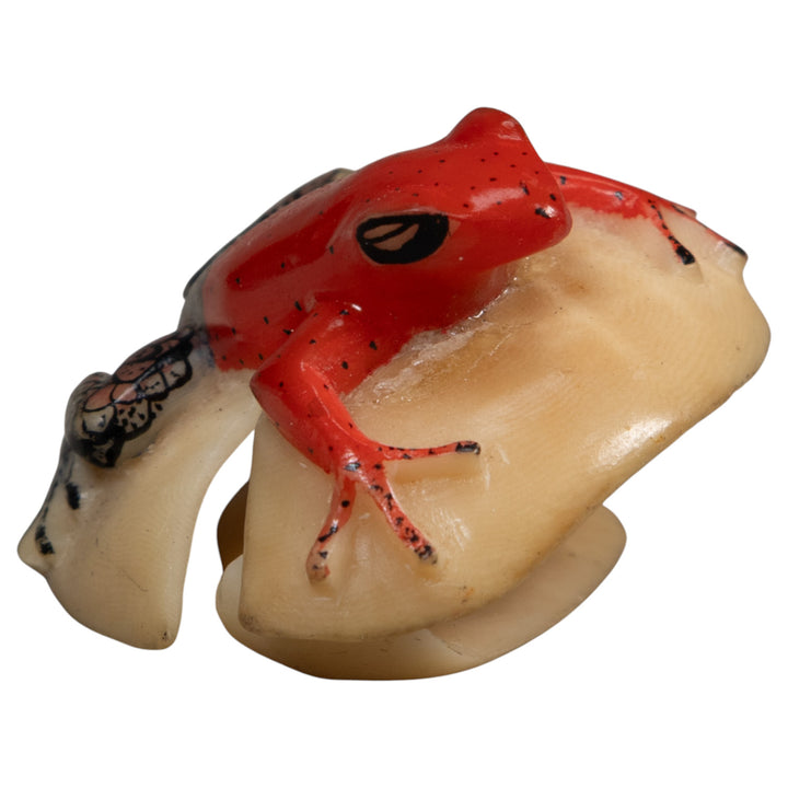 Black And Red Poison Dart Frog Tagua Carving