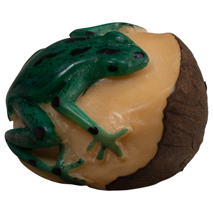 Vintage Black And Green Frog Tagua Carving