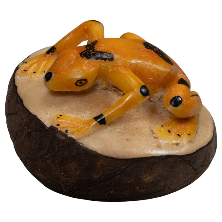 Vintage Gold And Black Frog Tagua Carving