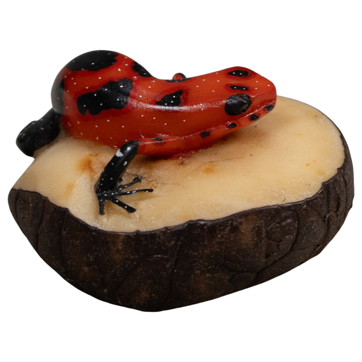 Vintage Red And Black Poison Dart Frog Tagua Carving