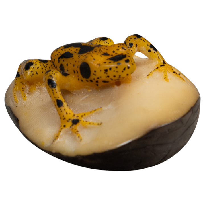 Vintage Gold And Black Frog Tagua Carving