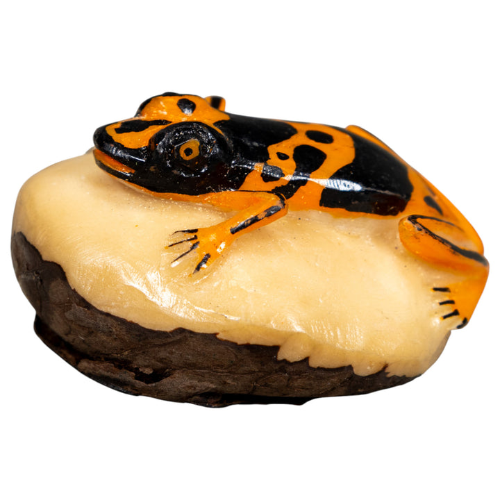 Orange And Black Poison Dart Frog Tagua Carving