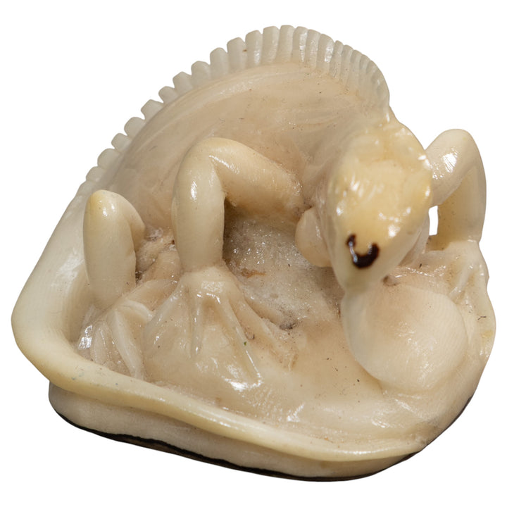 White Natural Iguana Lizard Tagua Carving