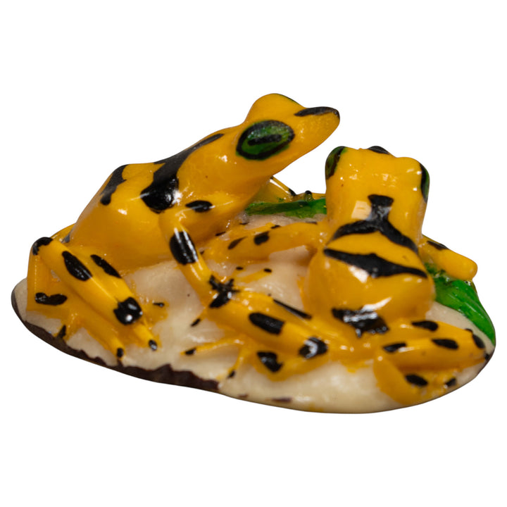 Double Golden Frog Tagua Carving