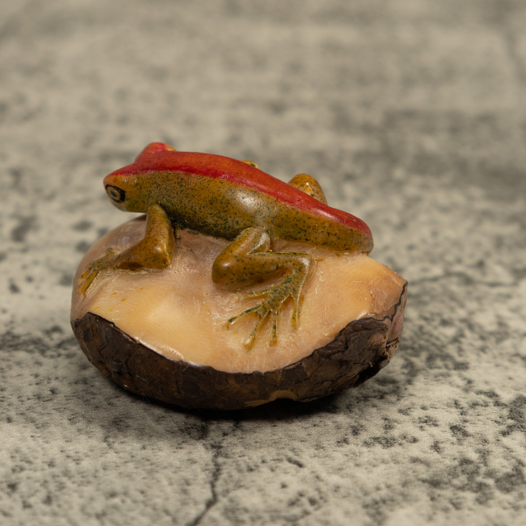 Red Stripped gecko Tagua Carving