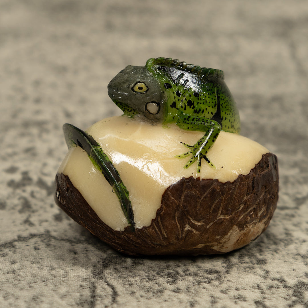 Iguana Lizard Reptile Tagua Carving