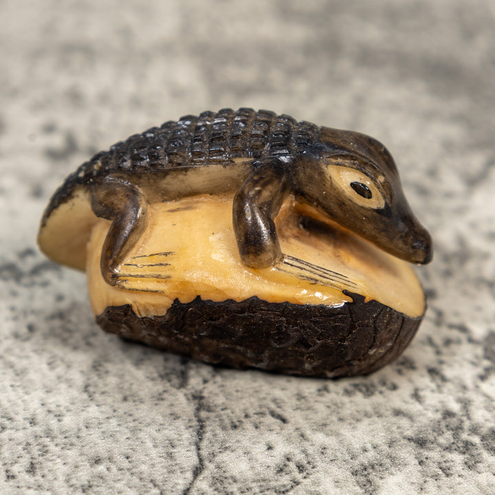 Alligator Crocodile Caiman Tagua Carving
