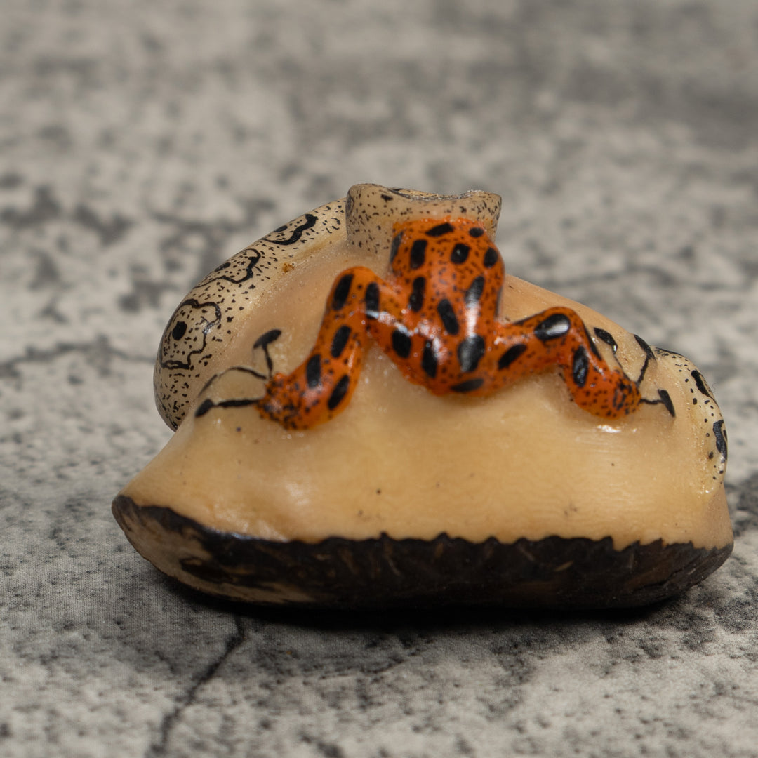 Orange And Black Snake Eating Frog Tagua Carving