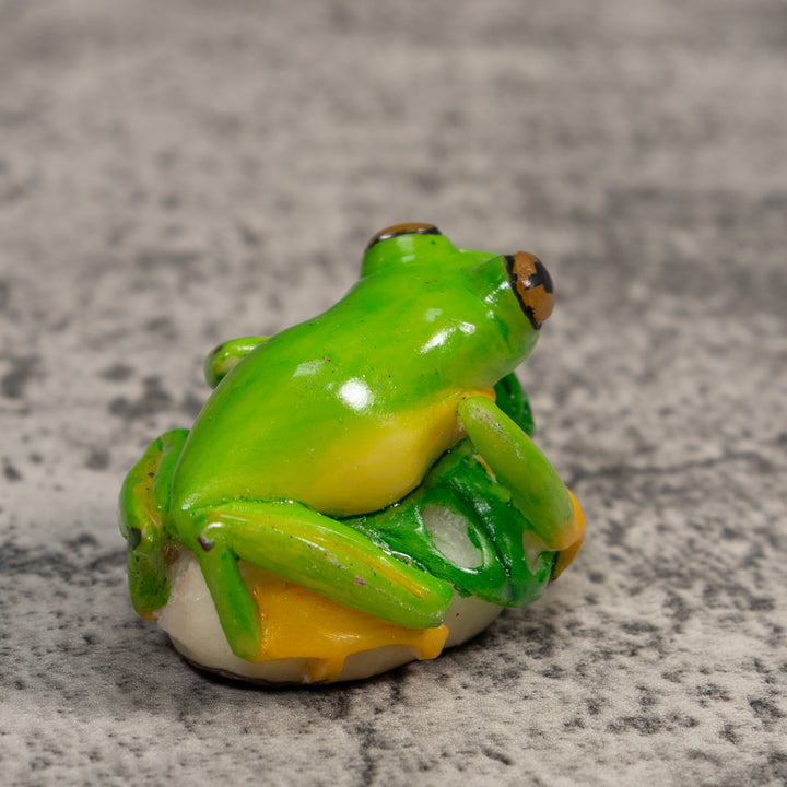 Red-Eye Tree Frog Tagua Carving