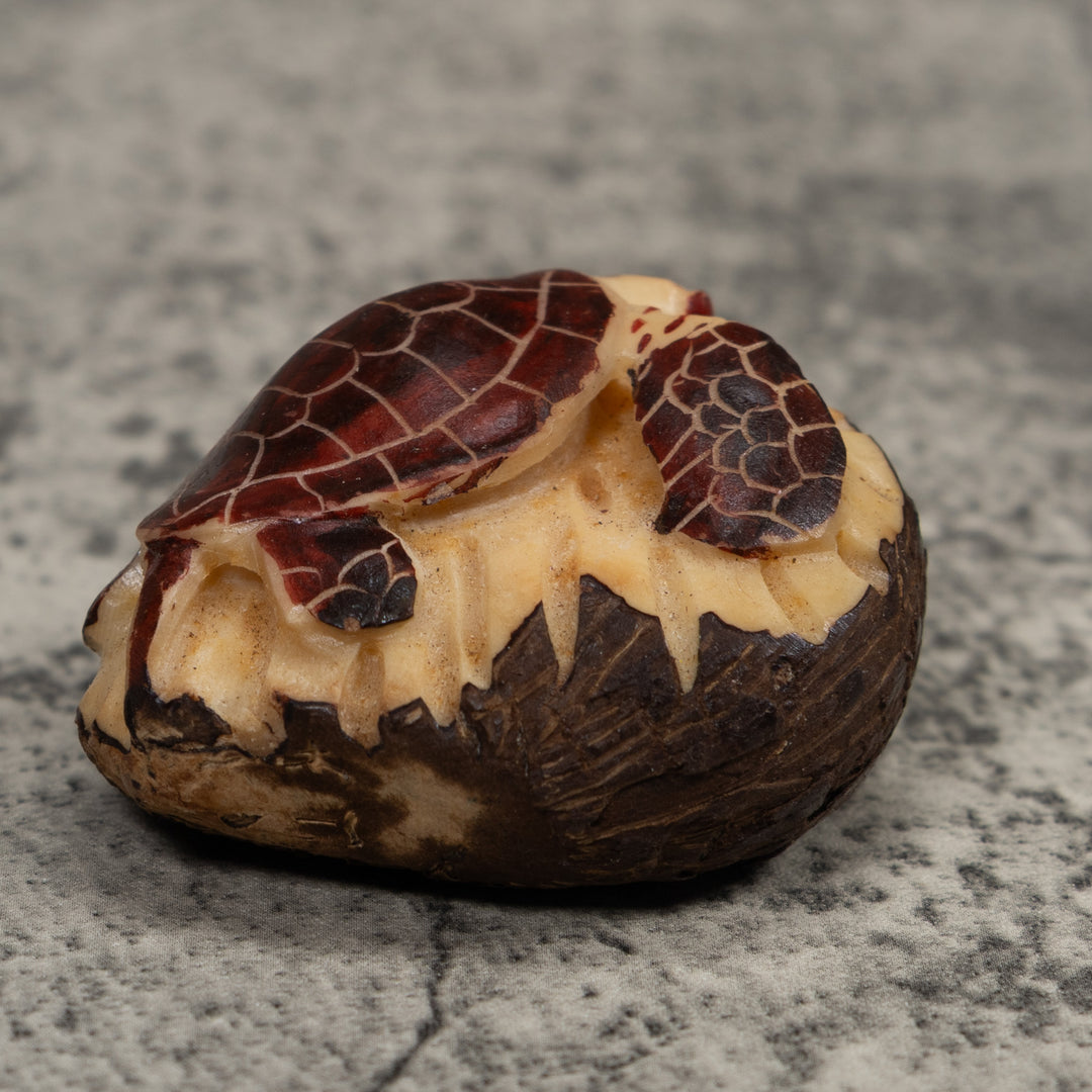 Sea Turtle Tagua Carving