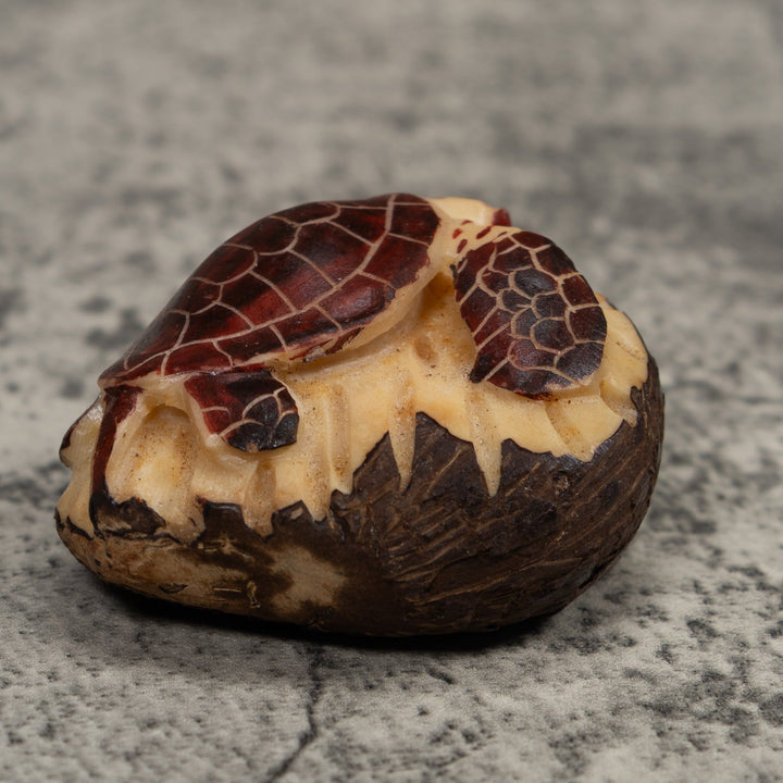 Sea Turtle Tagua Carving