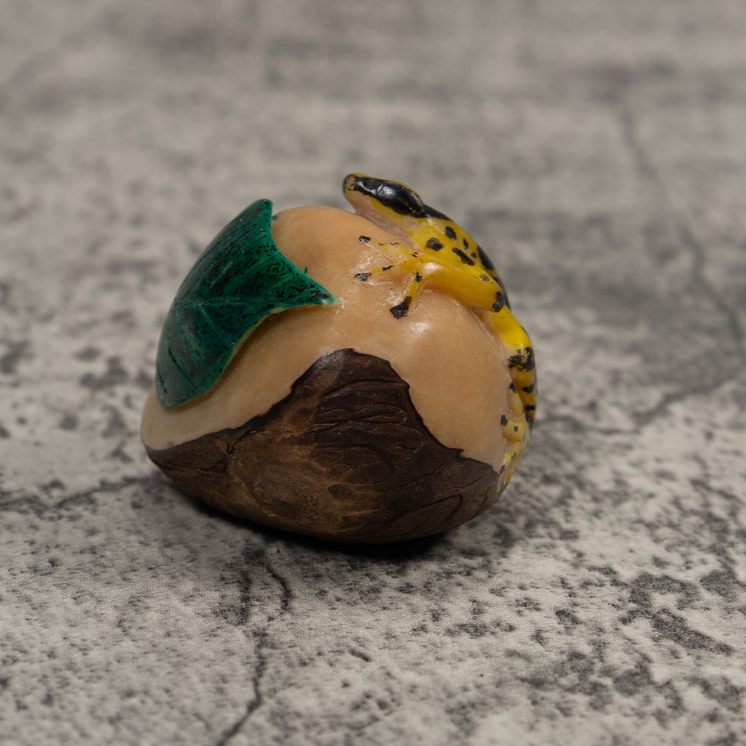 Poison Dart Frog Tagua Carving