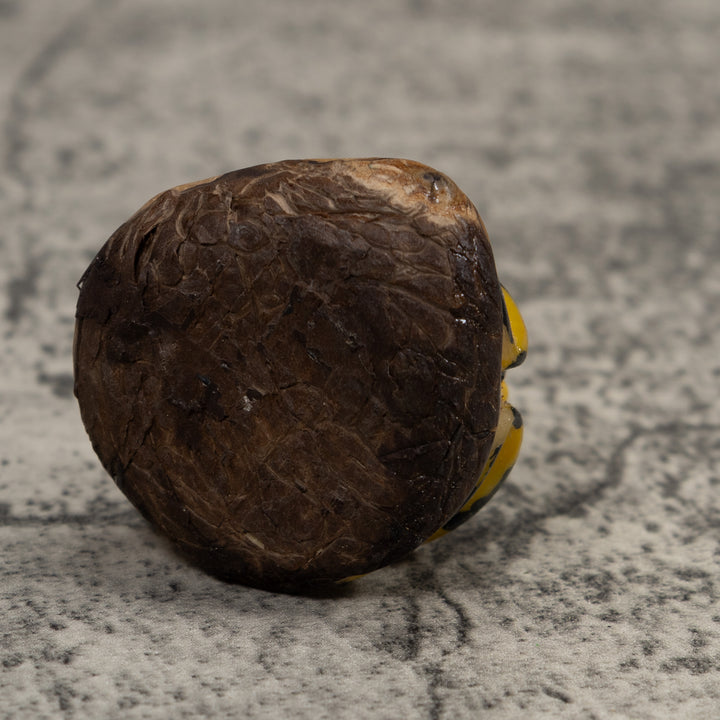 Vintage Poison Dart Frog Tagua Carving