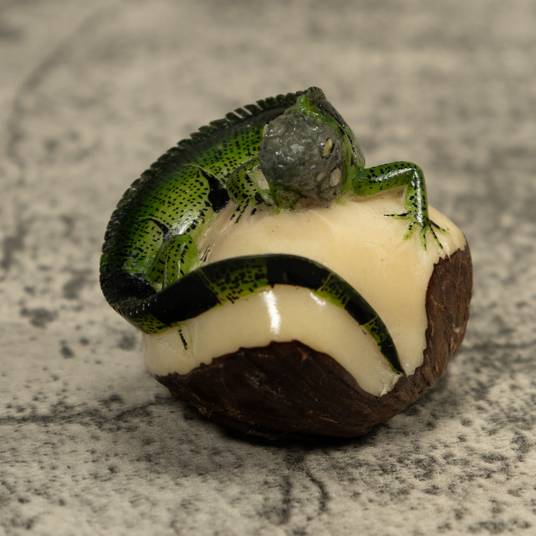 Iguana Lizard Reptile Tagua Carving