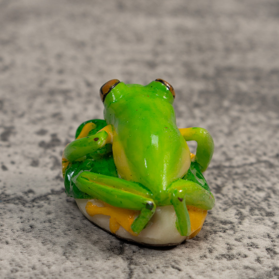 Red-Eye Tree Frog Tagua Carving