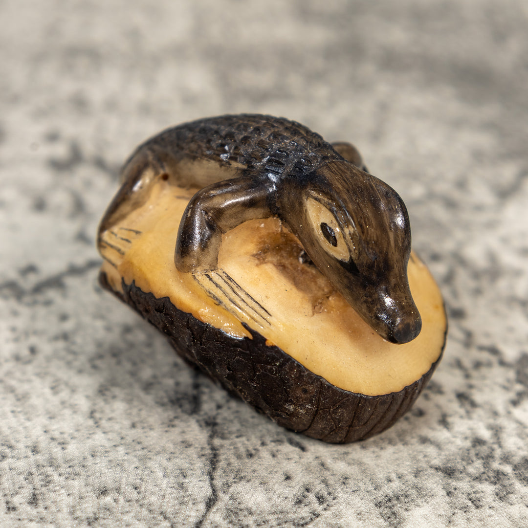 Alligator Crocodile Caiman Tagua Carving