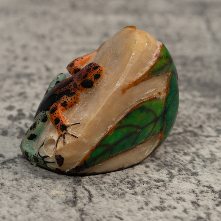 Black And Blue Orange Poison Dart Frog Tagua Carving