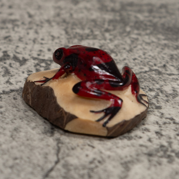 Vintage Red And Black Frog Tagua Carving
