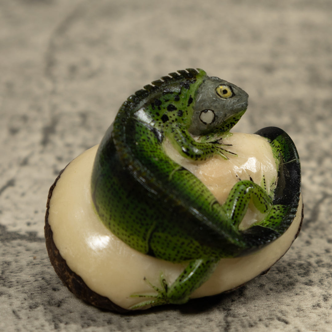 Iguana Lizard Reptile Tagua Carving