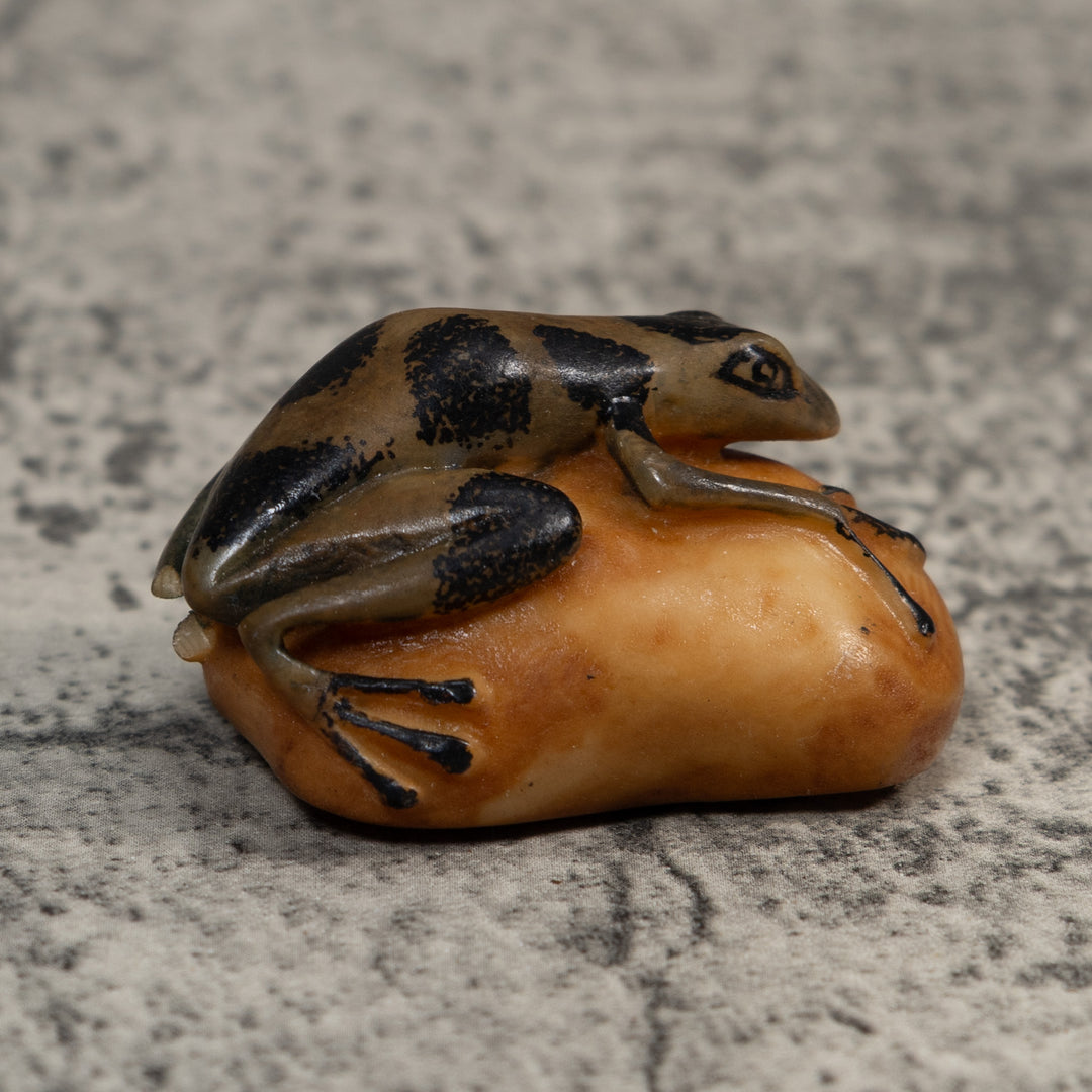 Vintage Green And Black Poison Dart Frog Tagua Carving