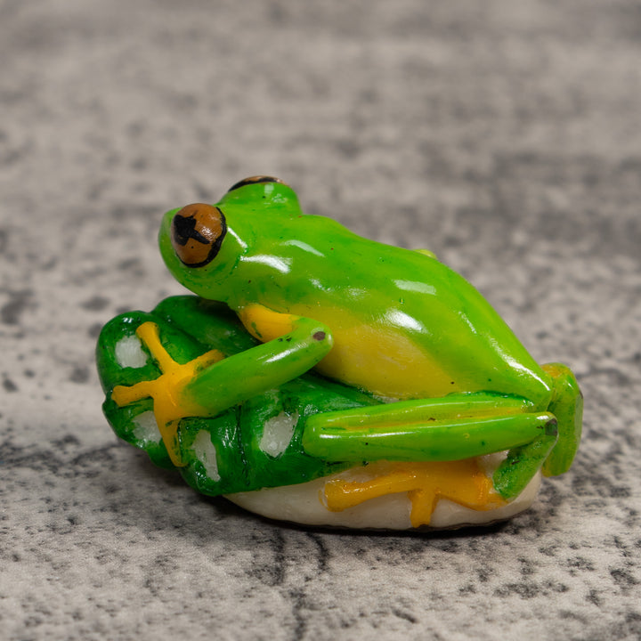 Red-Eye Tree Frog Tagua Carving